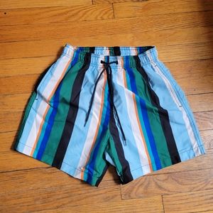 Mens Striped Swim Shorts